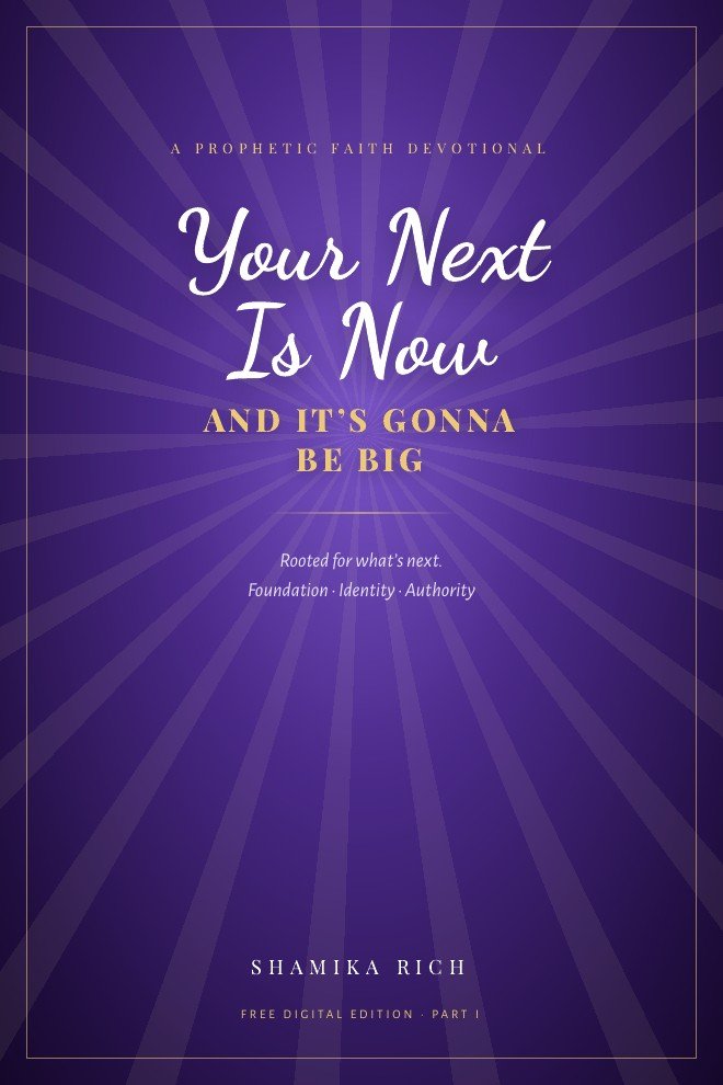 Your Next Is Now ebook cover
